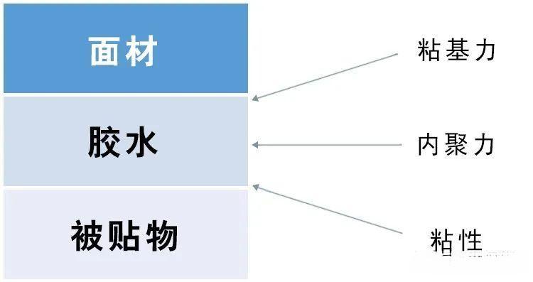  可移除標簽與普通標簽紙：您需要了解的一切